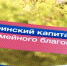 Новгородское отделение ПФР готово к новшествам в программе материнского капитала - 53news.Ru