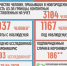 У 186 новгородцев официально подтверждён коронавирус - ИА Великий Новгород.ру