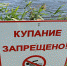 Санитарно-эпидемиологические заключения на пляжи «Юрьево» и «Кремль» получены, но купальный сезон де-юре не открыт - ИА Великий Новгород.ру