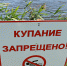 Купальный сезон в Великом Новгороде официально завершается 31 августа - ИА Великий Новгород.ру