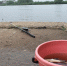 Вода на терпит беззрассудства! - МЧС Новгородской области
