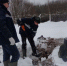 По факту загрязнения нефтью грунта в Пестовском районе возбуждено ещё одно уголовное дело - Новгородские Ведомости