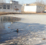 Ребенок утонул в Новгородской области, второму удалось спастись - Газета Новгород