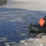 Сегодня в пруду в центре Чудова утонул ребёнок - 53news.Ru