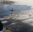 В Чудове в водоёме утонул мальчик - Новгородские Ведомости