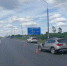 За сутки лоси трижды стали причиной ДТП на новгородских дорогах - ИА Великий Новгород.ру