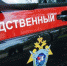В Парфинском районе в реке Ловать утонул 7-летний мальчик - ИА Великий Новгород.ру