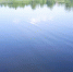 водоём - Parohod.Online