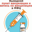 Выездной пункт вакцинации и запись на вакцинацию в МФЦ - МФЦ