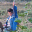 bk_info_154198_orig_1563337163 - Parohod.Online