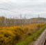 © Фото из архива интернет-портала «Новгород.ру» - Novgorod.Ru