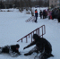Открытый урок в Луговом - Сетевое издание Генплан Великого Новгорода