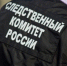 следственный комитет - ИА Невские Новости