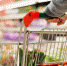 iStock-472485878_d_850_d_850 - Parohod.Online