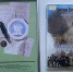 N06092022 1 1T - Научная библиотека