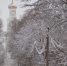 © Фото из архива интернет-портала «Новгород.ру» - Novgorod.Ru