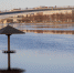© Фото Ксении Лысенко - Novgorod.Ru