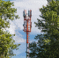 © Tele2 - Novgorod.Ru