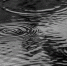pixabay - FlashNord.Com
