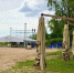 Рейсы запланированы с промежутком в час. - Новгородские Ведомости
