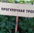 Получить грант смогут предприниматели, которые занимаются обустройством зон отдыха и туристских маршрутов. - Новгородские Ведомости