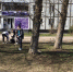 Субботник в сквере - Сетевое издание Генплан Великого Новгорода