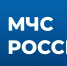 МЧС России расширяет цифровизацию государственных услуг - МЧС Новгородской области