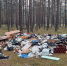 Основную часть несанкционированных свалок выявляют в ходе патрулирования лесов и по обращениям жителей. - Новгородские Ведомости
