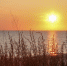 © Новости.Новгород.ру. - Novgorod.Ru