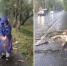 © Администрация Великого Новгорода - Novgorod.Ru