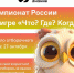 Любая команда сможет зарегистрироваться на чемпионат и начать играть в любой момент отборочного этапа. - Новгородские Ведомости