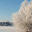 © Фото из архива интернет-портала «Новгород.ру» - Novgorod.Ru