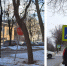 Улица Бояна - Сетевое издание Генплан Великого Новгорода