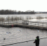 В Великом Новгороде начался подъём уровня воды в реке Волхов - 53news.Ru