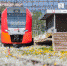 © Фото из архива интернет-портала «Новгород.ру» - Novgorod.Ru