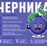 Черника против старения - Роспотребнадзор