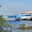 Новгородский водный маршрут до Взвада стал популярнее Валаама, но рейсы отменены - Газета Новгород