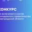 28 ноября стартует конкурс на включение в состав Молодежного правительства Новгородской области - МФЦ