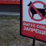 Владельцев домашних животных будут штрафовать до 30 тысяч за неправильное содержание - Новгородские Ведомости