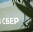 © Сбер - Novgorod.Ru