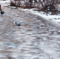 Новгородцам рассказали о погоде в последний день января - 53news.Ru