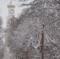 © Фото из архива интернет-портала «Новгород.ру» - Novgorod.Ru