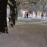 Новолучанская улица - Сетевое издание Генплан Великого Новгорода
