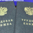 16% новгородских работодателей раздражает легкость, с которой зумеры меняют работу - Новгородское областное телевидение