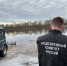 СК проводит проверку по факту нападения бродячих собак на ребенка в Новгородской области - Сетевое издание Генплан Великого Новгорода