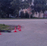 В Великом Новгороде в результате ДТП водитель электросамоката доставлен в медицинское учреждение - ГИБДД