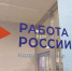 С предложениями работодателей региона можно ознакомиться на портале «Работа России». - Новгородские Ведомости