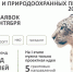 Дан старт приема заявок на конкурс экологических и природоохранных проектов 2026 года - Комитет по внутренней политике
