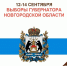 Ваш голос решает! Принимаем участие в выборах Губернатора Новгородской области - МФЦ