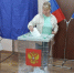 На местных выборах в Новгородской области будут замещать 222 мандата. - Новгородские Ведомости
